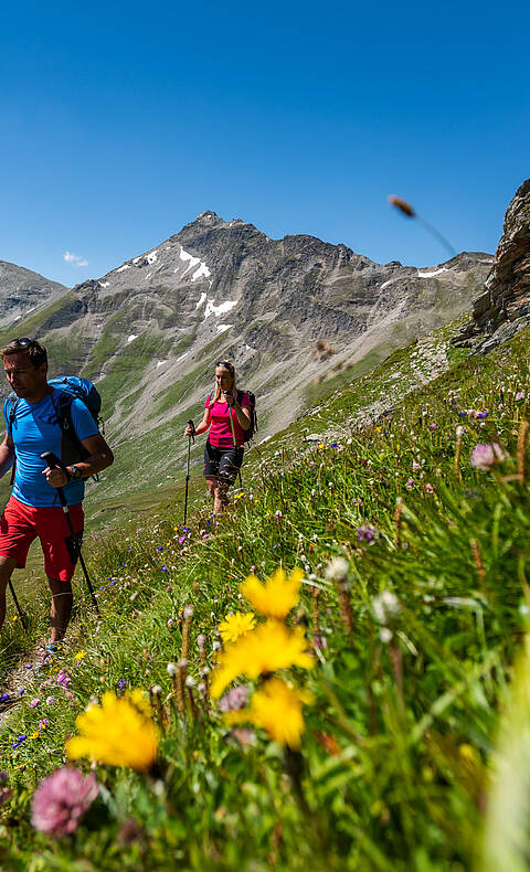 Tauernhoehenweg im Nationalpark Hohe Tauern